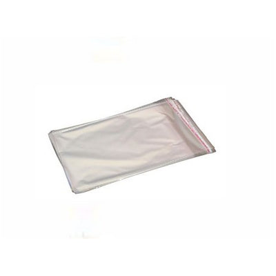31 mic. 8/12 opp bag with hanger 100pcs/bag*12