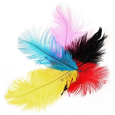Ostrich feather 20-25cm(7.87/9.84in), 2pcs/bag